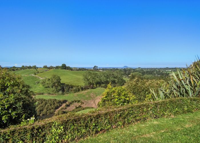  at 325A Esdaile Road, Whakamarama, Western Bay Of Plenty, Bay Of Plenty