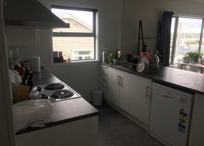 at 135 St David Street, North Dunedin, Dunedin, Otago