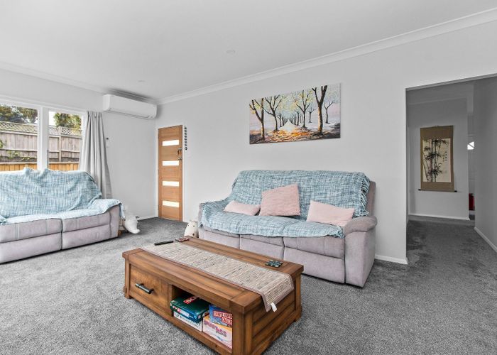  at 20 Alison Street, Hamilton Lake, Hamilton