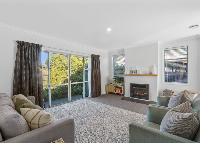  at 17 McKenzie Street, Witherlea, Blenheim, Marlborough