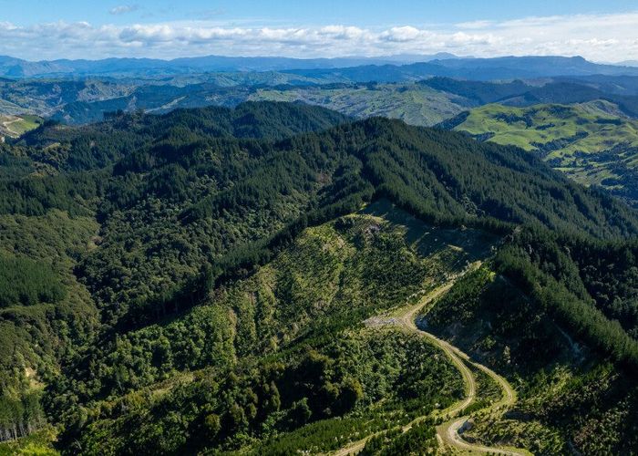  at 0 Bruce Road, Whatatutu, Whatatutu, Gisborne, Gisborne