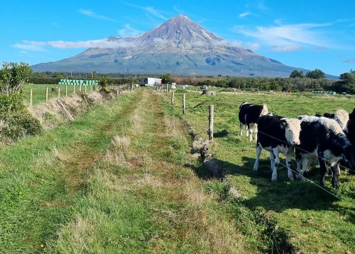  at 584 York Road, Stratford, Stratford, Taranaki