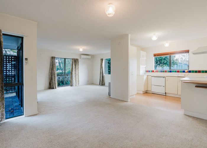  at 14 Vine Street, Hillcrest, Hamilton, Waikato