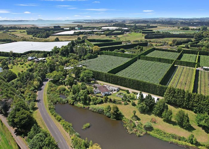  at 60 Elmwood Road, Aongatete, Katikati