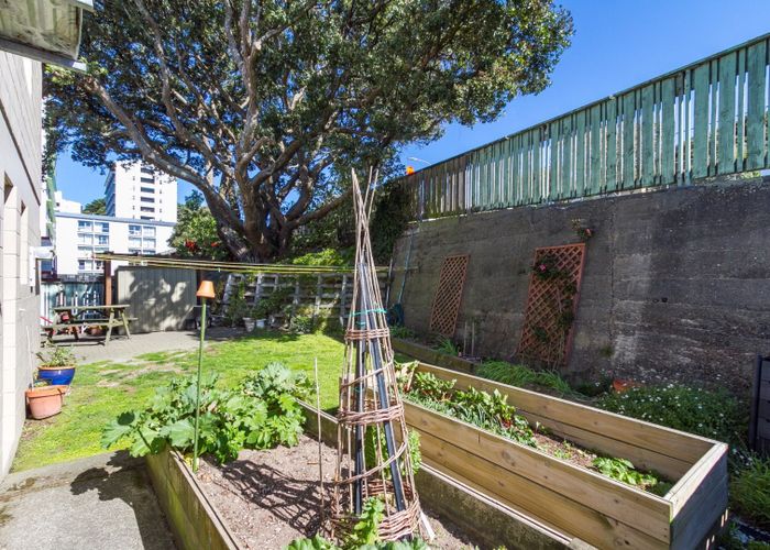  at 316 Mansfield Street, Newtown, Wellington, Wellington