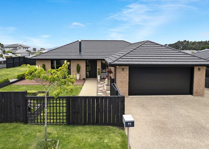  at 12 Hilltop Crescent, Corstorphine, Dunedin