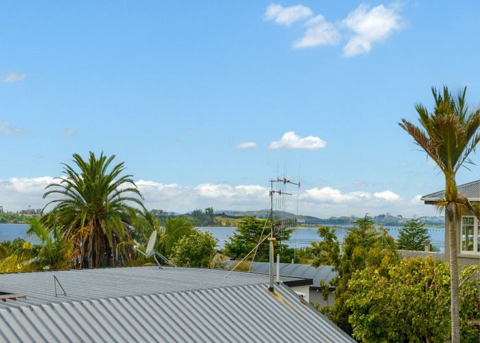  at 50a Harvey Street, Avenues, Tauranga, Bay Of Plenty