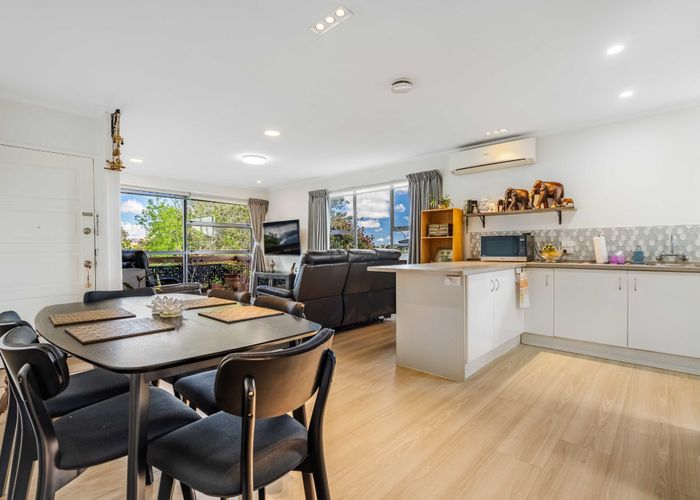  at 217 Halsey Drive, Lynfield, Auckland City, Auckland