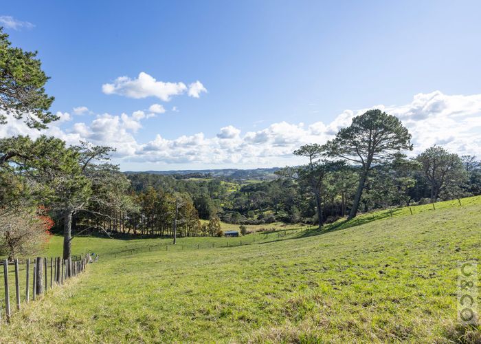  at 46 Potter Road, Albany