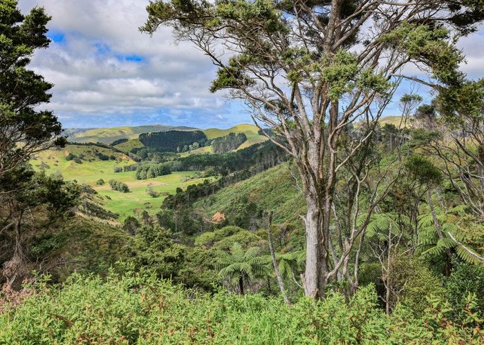  at 419 Kemp Road, Awhitu, Franklin, Auckland