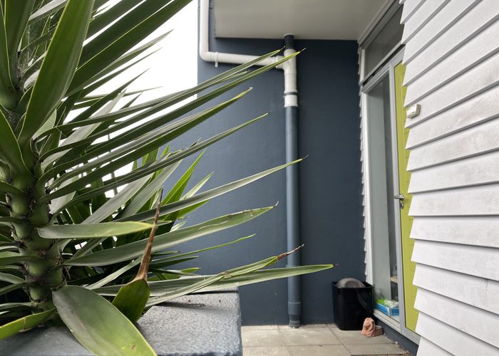  at 4/24 Hanson Street, Mount Cook, Wellington, Wellington