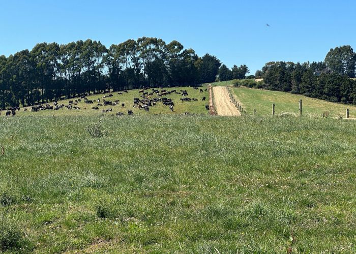 For sale 1215 Hillend Road, Balclutha, Clutha, Otago homes.co.nz