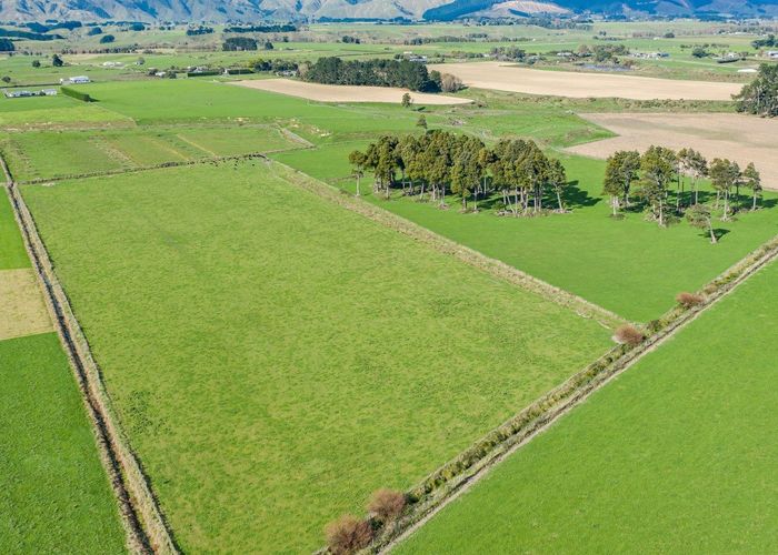  at 217 Paiaka Road, Koputaroa, Levin