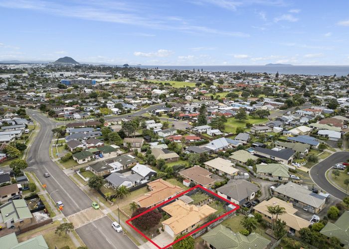  at 113 Gloucester Road, Mount Maunganui, Mount Maunganui
