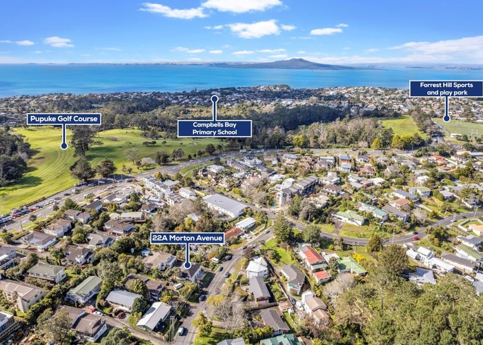  at 22A Morton Avenue, Forrest Hill, Auckland