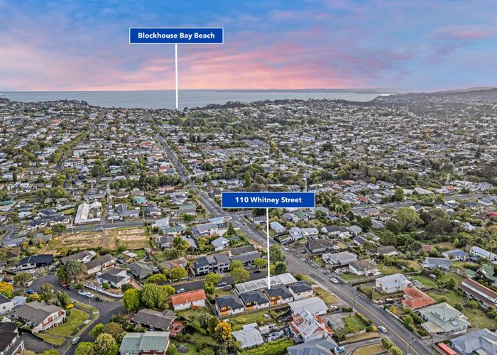  at 110 Whitney Street, New Windsor, Auckland City, Auckland