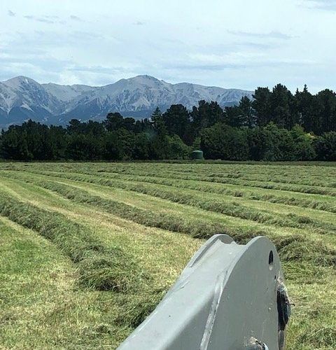  at 410 Harmans Gorge Road, Oxford, Waimakariri, Canterbury