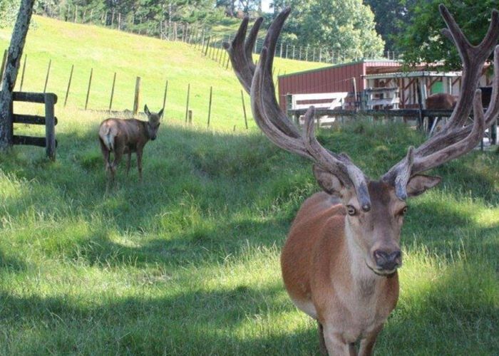  at 0(b) McLaren Falls Road, Omanawa, Western Bay Of Plenty, Bay Of Plenty