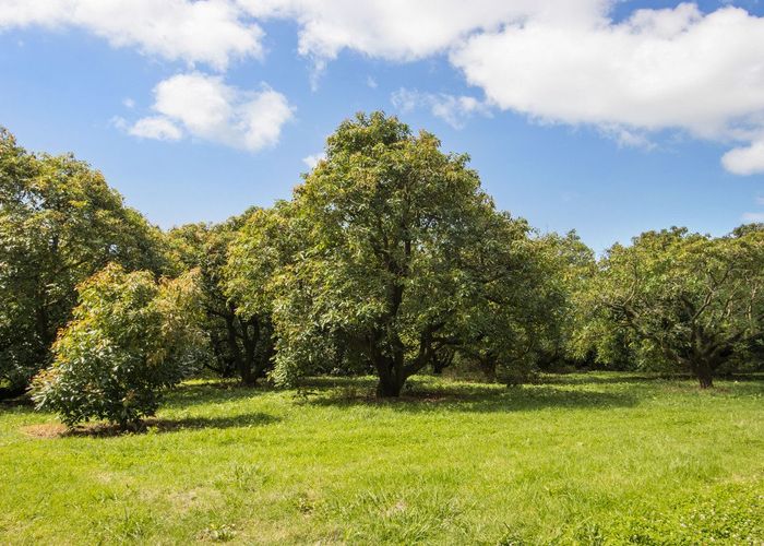  at 11/Lot 11 Timon Drive, Katikati, Western Bay Of Plenty, Bay Of Plenty