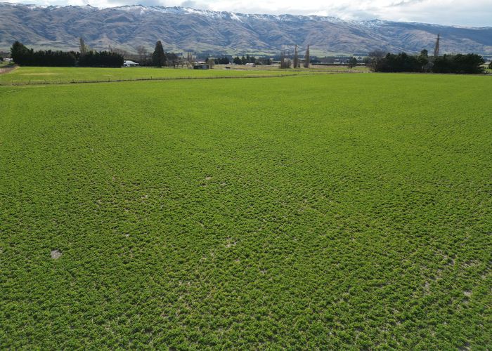  at 106 Mold Street, Middlemarch, Dunedin, Otago