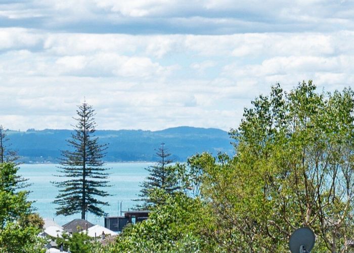  at 151 Milton Road, Bluff Hill, Napier, Hawke's Bay