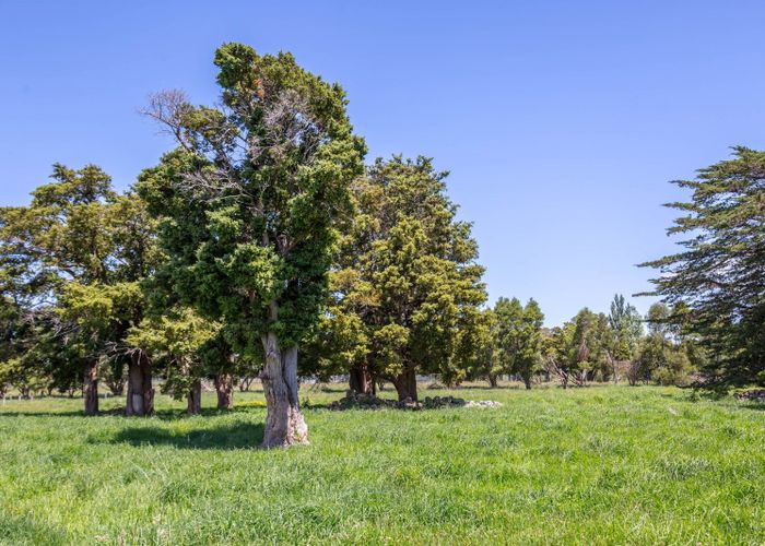  at 635 Chester Road, Carterton, Carterton, Wellington