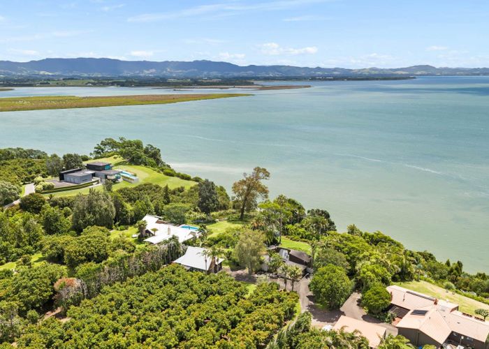  at 313 Pahoia Road, Whakamarama, Western Bay Of Plenty, Bay Of Plenty