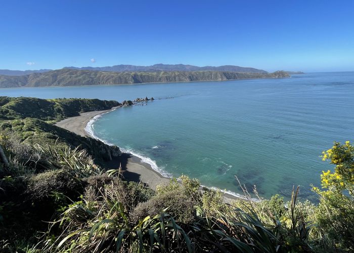  at 79 Mantell Street, Seatoun, Wellington, Wellington