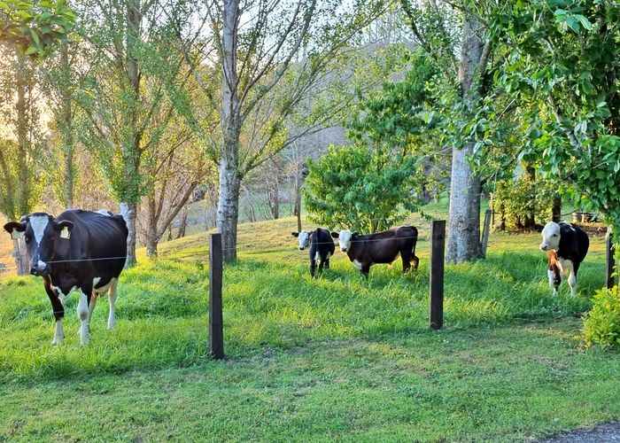  at 1231 Pipiwai Road, Whangarei