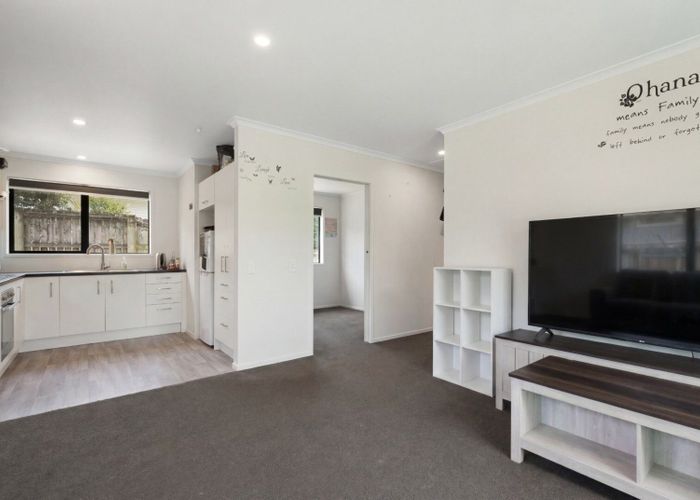  at 3 Adams Street, Waihi, Waihi