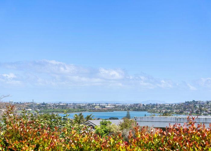  at 12 Miramar Place, Pakuranga Heights, Manukau City, Auckland