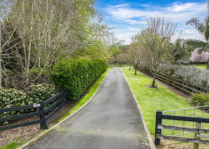  at 37 Greenvale Close, Tamahere