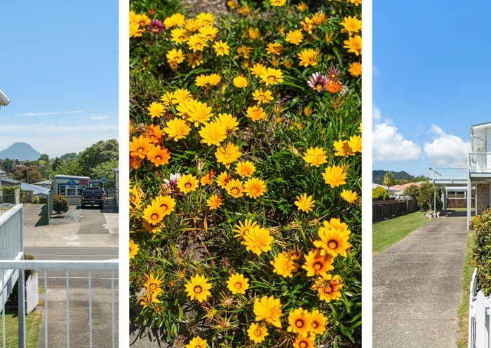  at 1 & 2/75 Domain Road, Whakatane, Whakatane, Bay Of Plenty