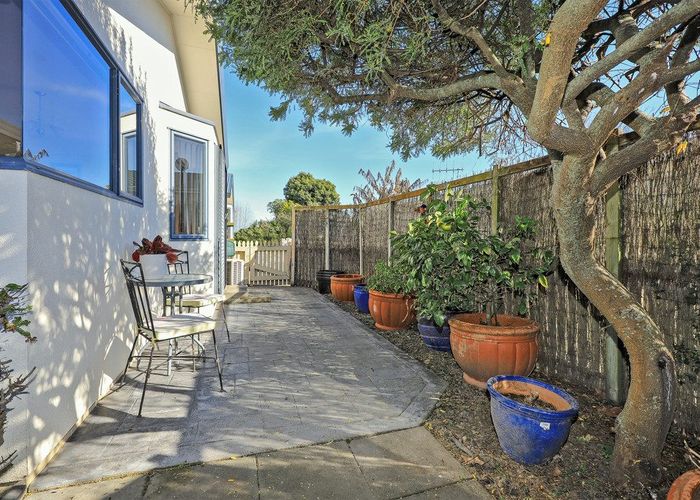  at B/502 Lyndon Rd E, Akina, Hastings