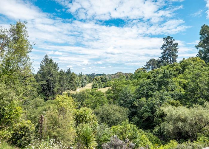  at 74B Pencarrow Road, Tamahere, Hamilton