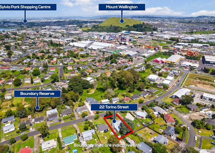  at 22 Torino Street, Point England, Auckland City, Auckland
