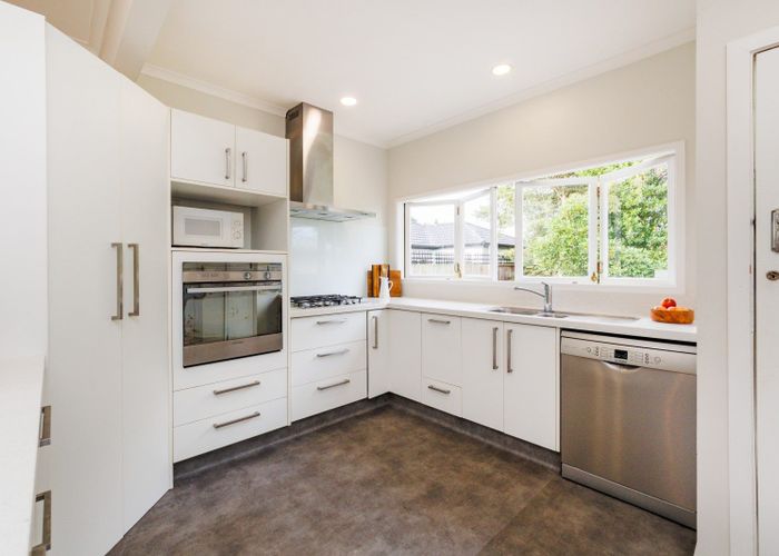  at 17 Manawatu Street, Hokowhitu, Palmerston North