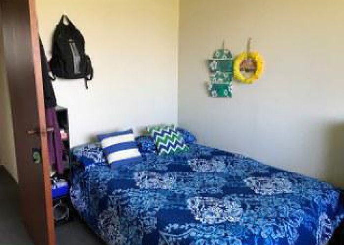  at 70C Insoll Avenue, Enderley, Hamilton, Waikato