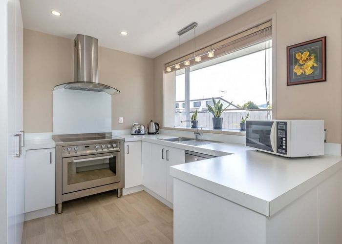  at 20 Mountfort Street, Spreydon, Christchurch City, Canterbury