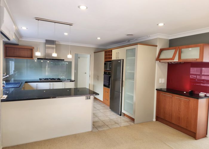  at 13 Stonebrooke Lane, Flat Bush, Manukau City, Auckland