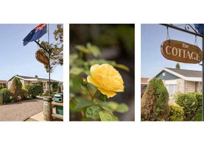  at 36 Townhead Crescent, Bethlehem, Tauranga, Bay Of Plenty