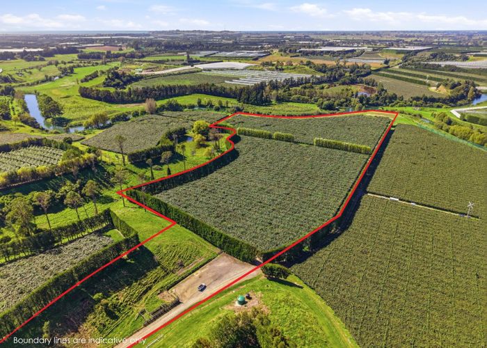  at 206 Casuarina Drive, Te Puke, Western Bay Of Plenty, Bay Of Plenty