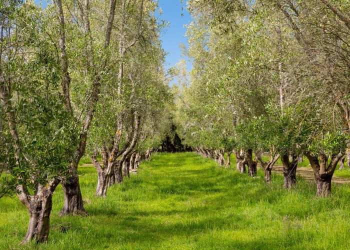  at 179 Bidwills Cutting Road, Greytown, South Wairarapa, Wellington