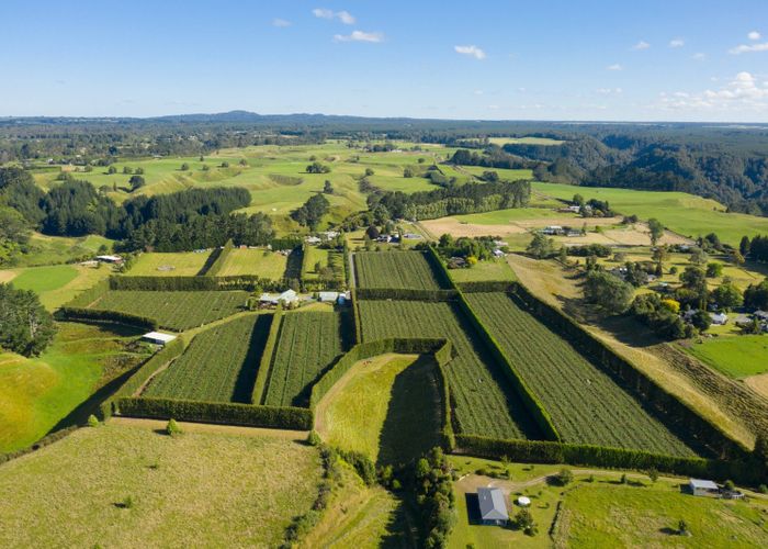  at 585D Mclaren Falls Road, Omanawa, Western Bay Of Plenty, Bay Of Plenty