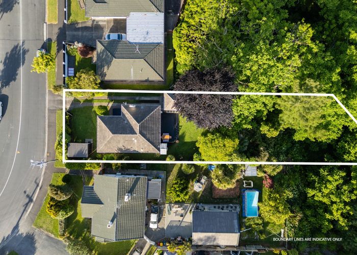  at 51 Rimu Street, Maeroa, Hamilton