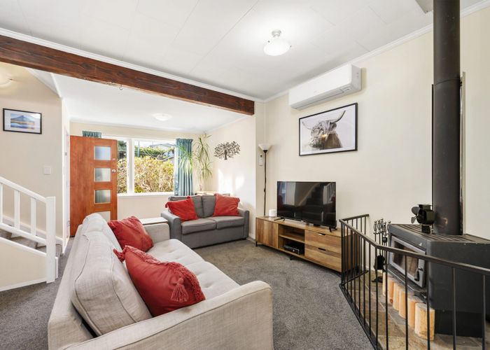  at 46 Fortunatus Street, Brooklyn, Wellington
