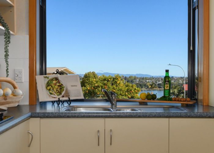  at 19A Vine Avenue, Maungatapu, Tauranga
