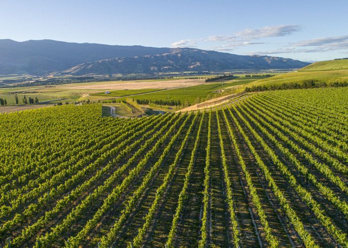  at 370 Bendigo Loop Road, Cromwell, Central Otago, Otago