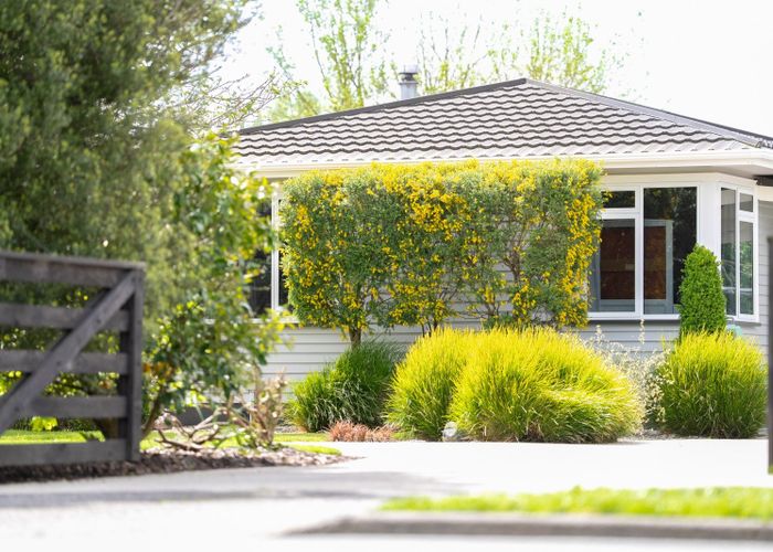  at 45 Arnold Street, Cambridge, Waipa, Waikato