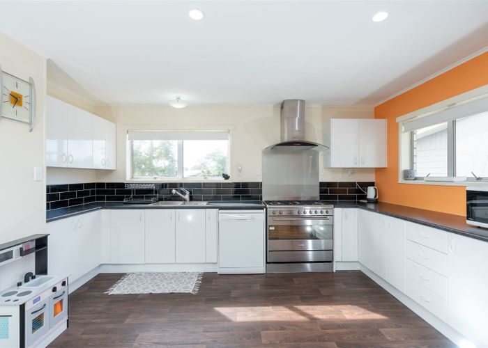  at 19 Caernarvon Street, Dinsdale, Hamilton